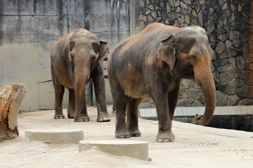 Liberec Zoo